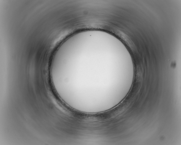 X0000089850677200707262108