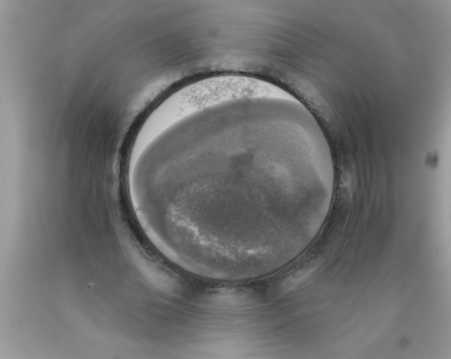 X0000089850678200707262108