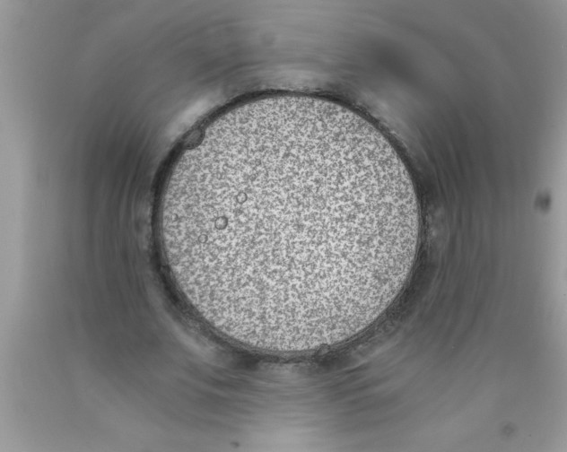 X0000089850679200707262108