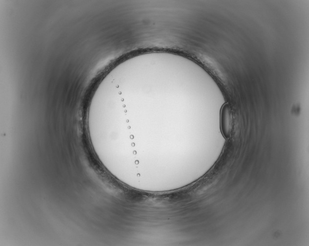 X0000089850680200707262108