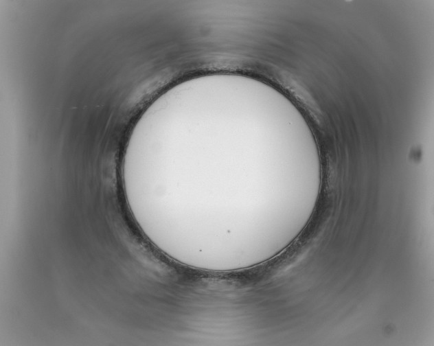 X0000089850681200707262108