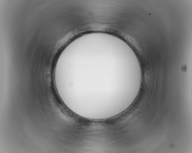 X0000089850682200707262108