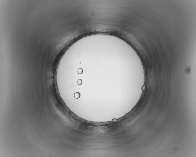 X0000089850683200707262108