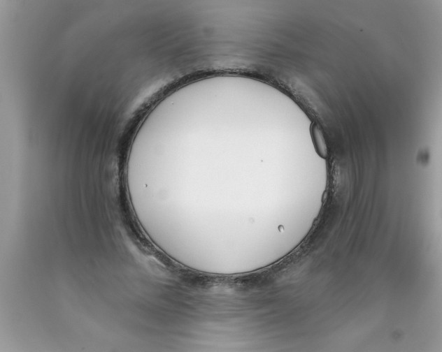 X0000089850684200707262108