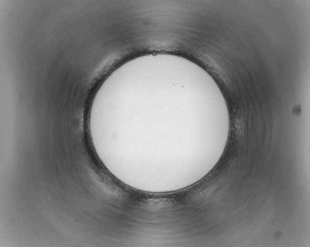 X0000089850686200707262108