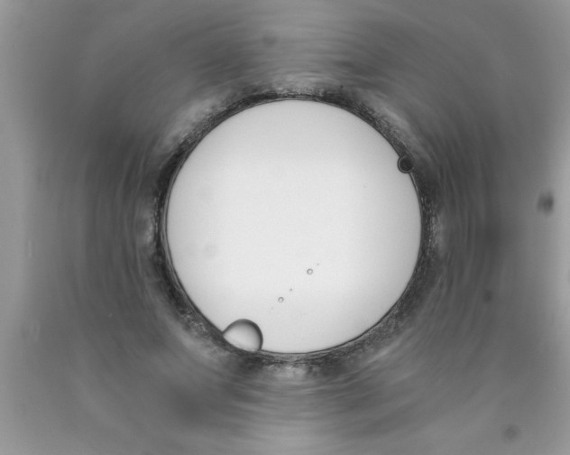 X0000089850687200707262108