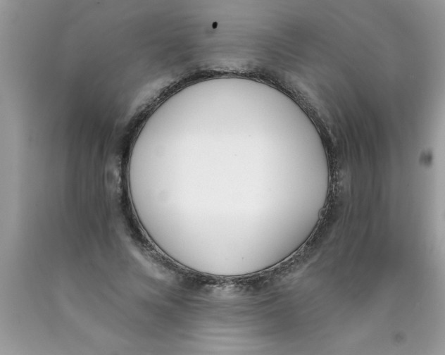 X0000089850688200707262108