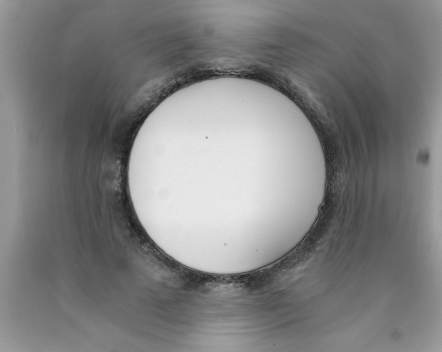 X0000089850689200707262108