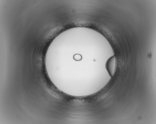 X0000089850690200707262108