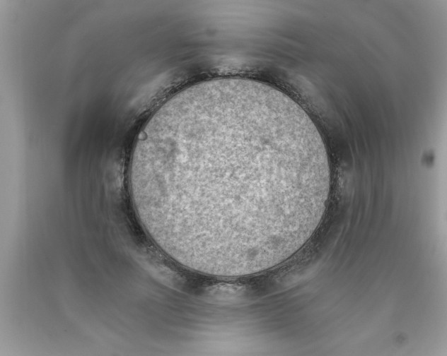 X0000089850691200707262108