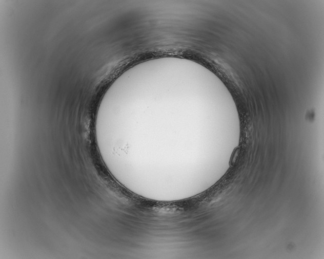 X0000089850693200707262108