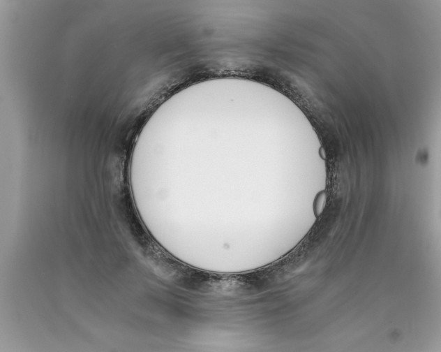 X0000089850695200707262108