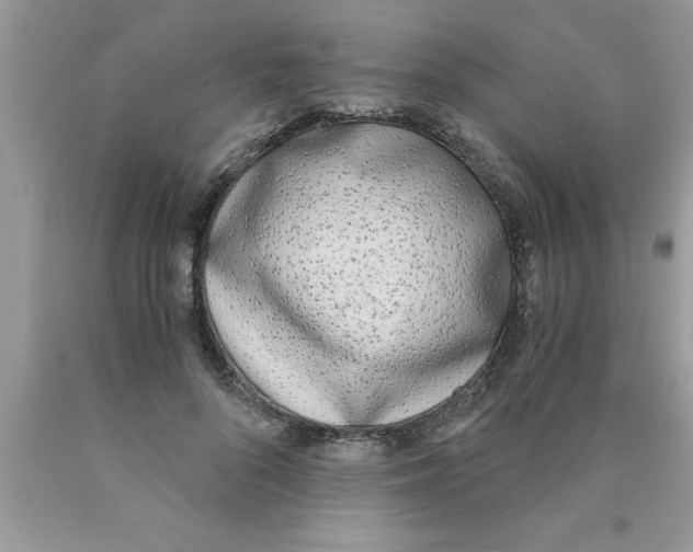 X0000089850696200707262108