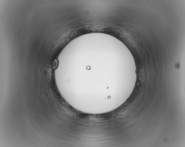 X0000089850697200707262108