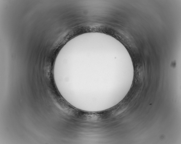 X0000089850698200707262108