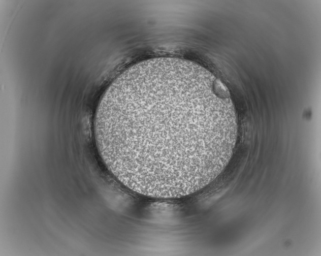 X0000089850699200707262108