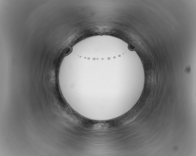 X0000089850700200707262108