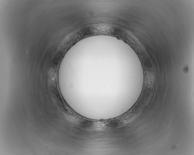 X0000089850701200707262108