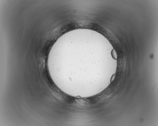 X0000089850703200707262108