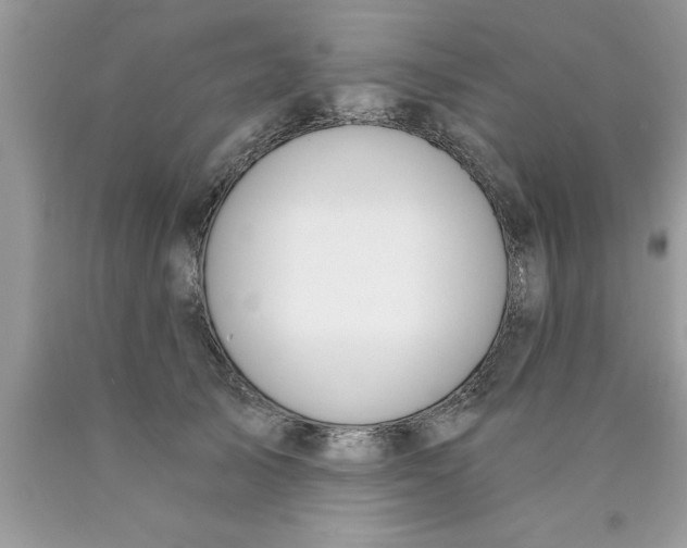 X0000089850705200707262108