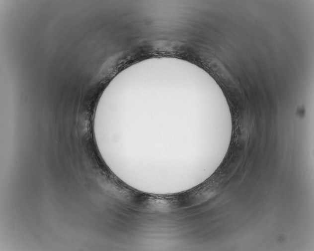 X0000089850706200707262108