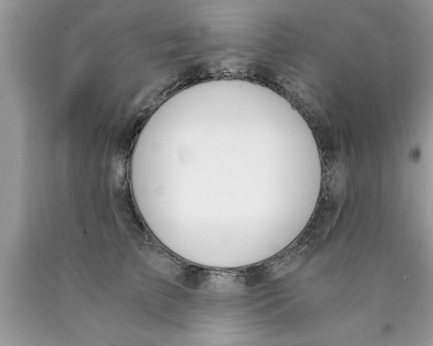 X0000089850709200707262108