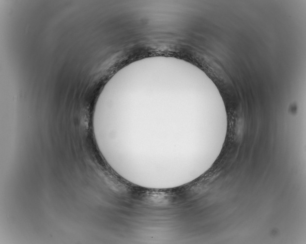 X0000089850710200707262107