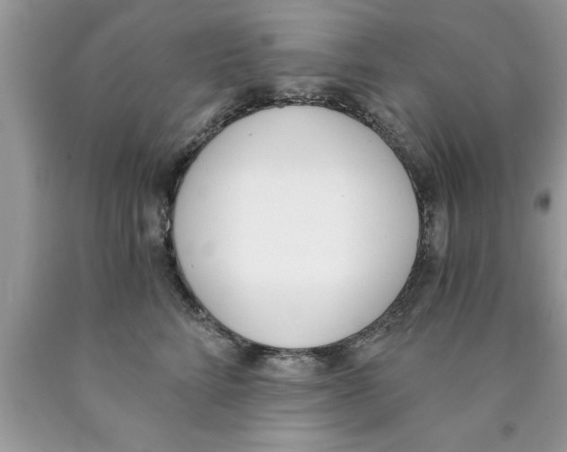 X0000089850712200707262107