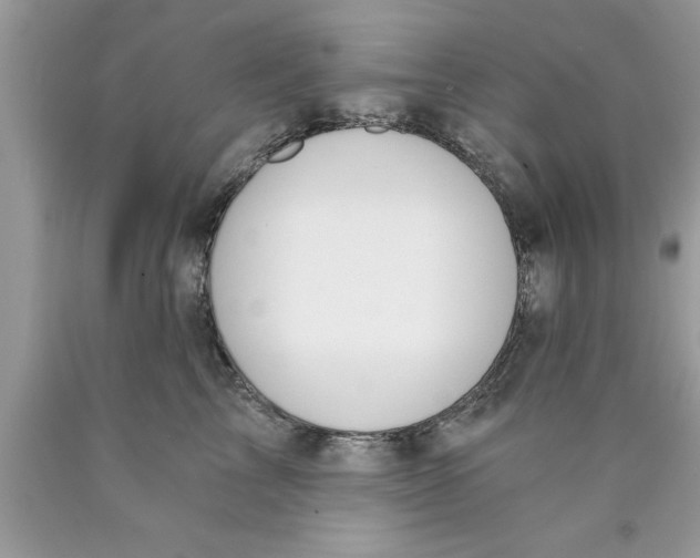 X0000089850713200707262107