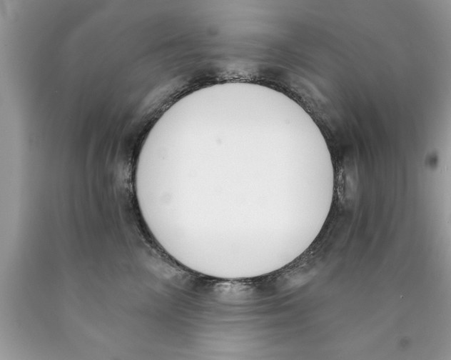 X0000089850714200707262107