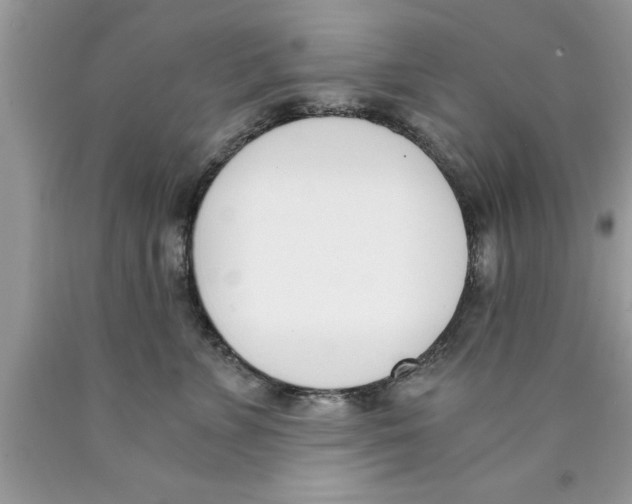 X0000089850715200707262107