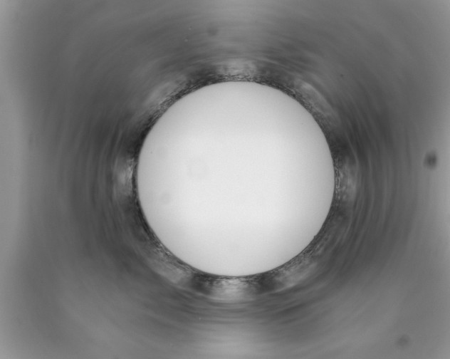 X0000089850717200707262107