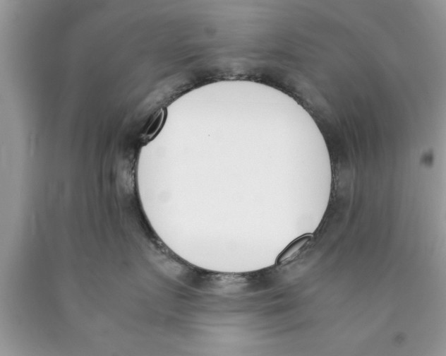 X0000089850719200707262107