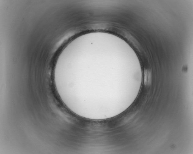 X0000089850723200707262107