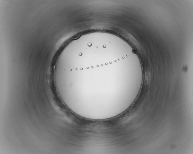 X0000089850724200707262107