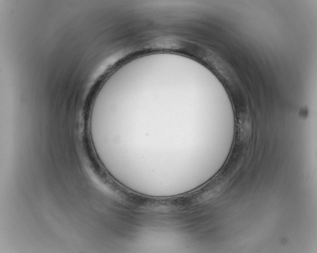 X0000089850726200707262107