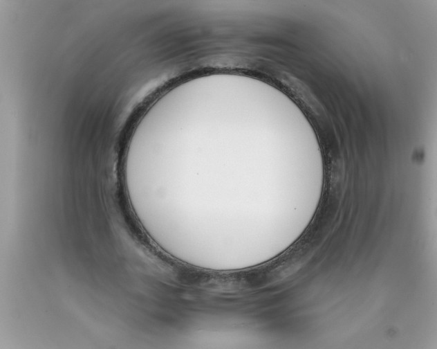 X0000089850727200707262107