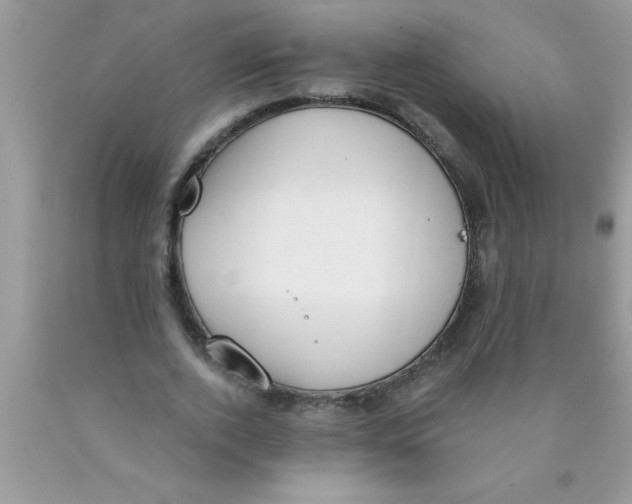 X0000089850728200707262107