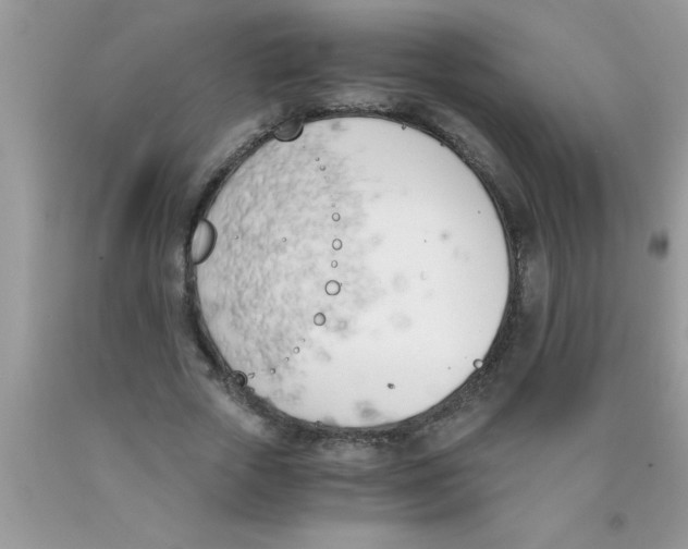 X0000089850729200707262107