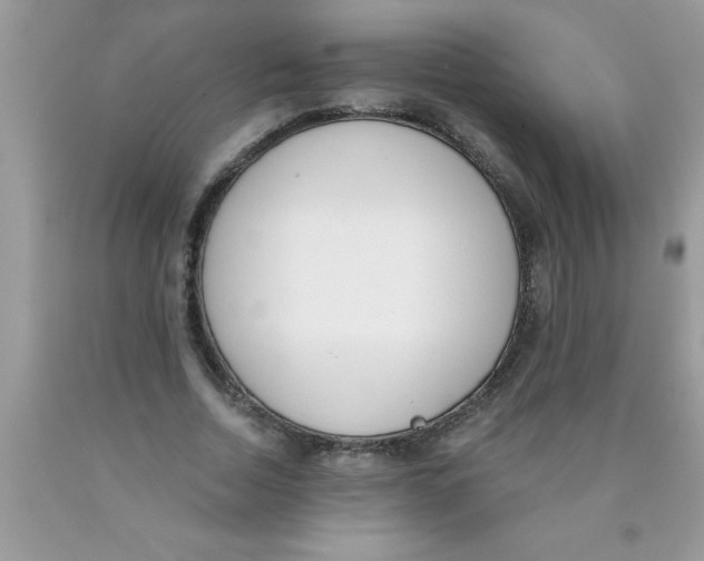 X0000089850730200707262107