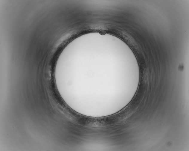 X0000089850731200707262107