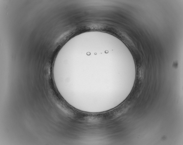 X0000089850733200707262107