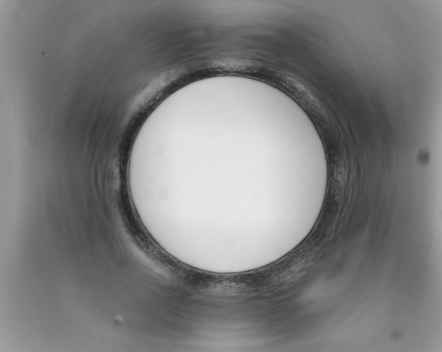 X0000089850734200707262107