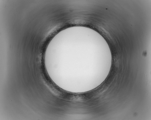 X0000089850735200707262107