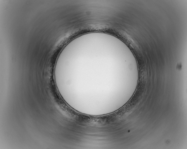 X0000089850736200707262107