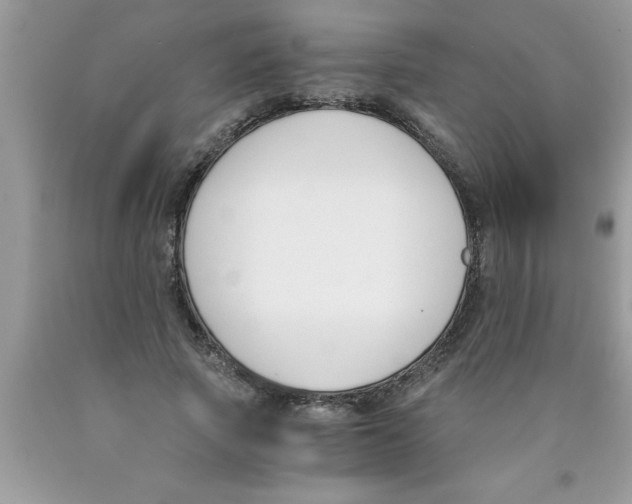 X0000089850737200707262107