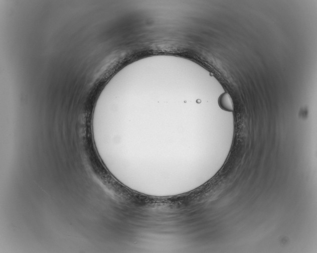 X0000089850738200707262107