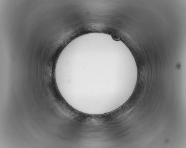 X0000089850739200707262107