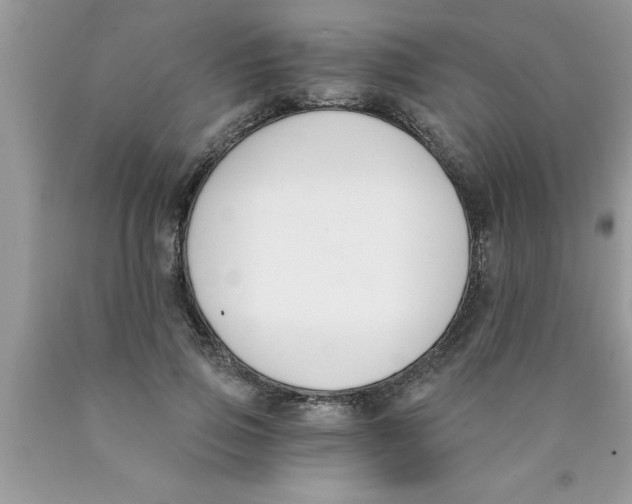 X0000089850741200707262107