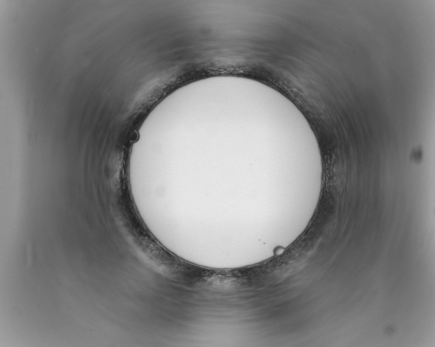 X0000089850742200707262107